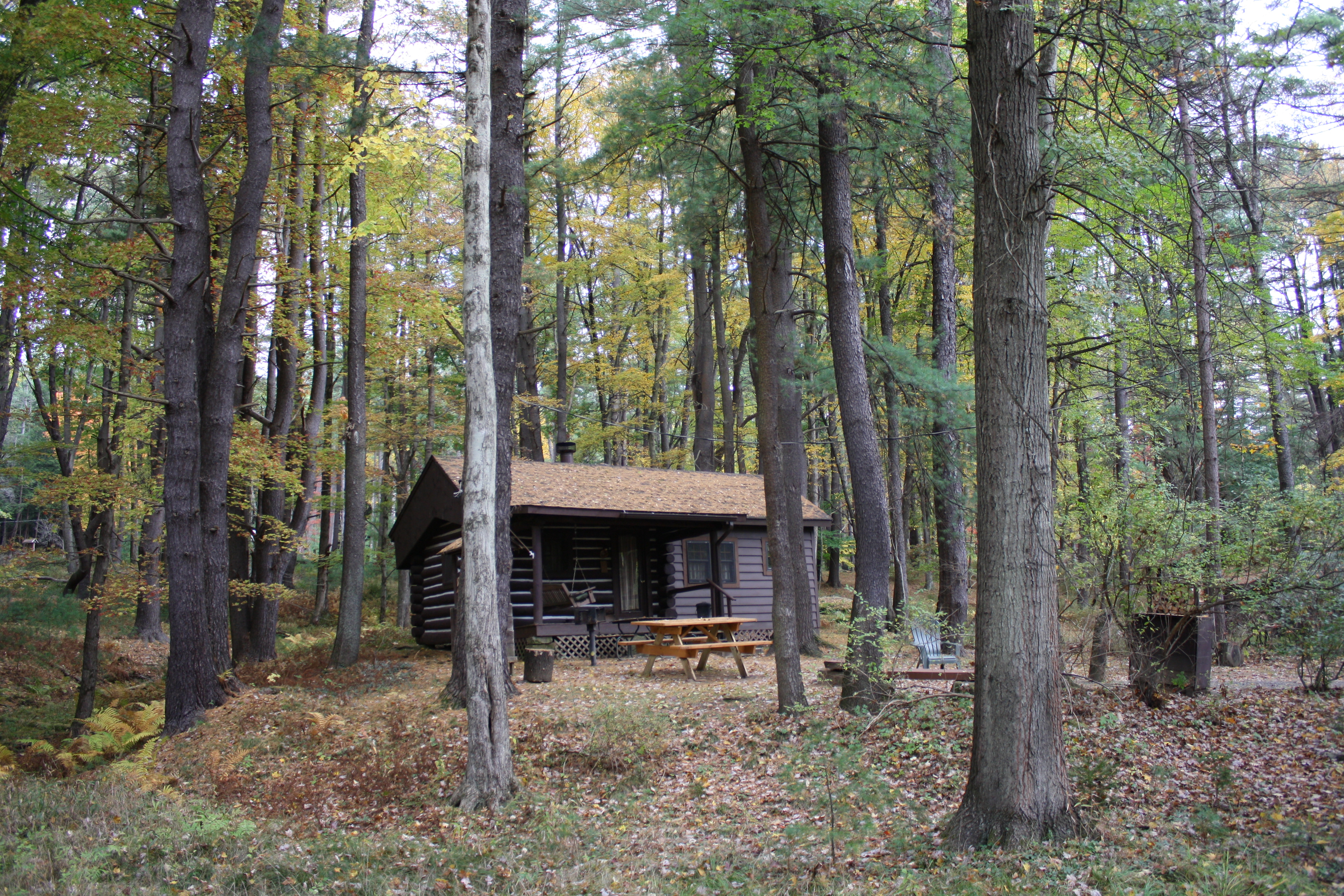 Cook Riverside Cabins 10 224 Cook Riverside Cabins